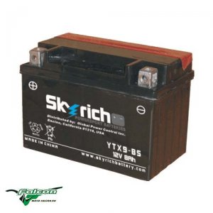 Аккумулятор SkyRich YTX9-BS 