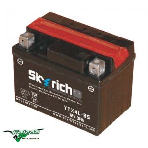 Аккумулятор Skyrich YTX4L-BS 