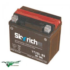 Аккумулятор Skyrich YTX5L-BS 