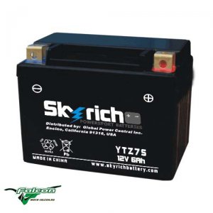 Аккумулятор Skyrich YTZ7S 